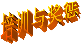 培训与奖惩
